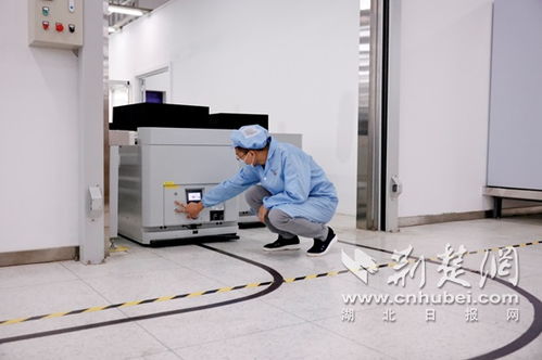 武漢電信與烽火通信攜手打造雙5G智慧工廠 開啟互聯(lián)網(wǎng)技術與設備銷售新篇章